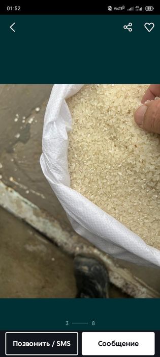 Курыш бар 200тг ден