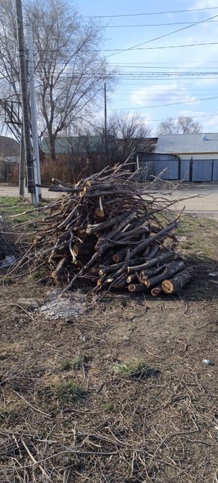 Отдам даром дрова