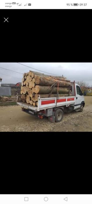 Lemne de foc esență tare