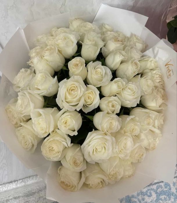 Гул казыр келдии