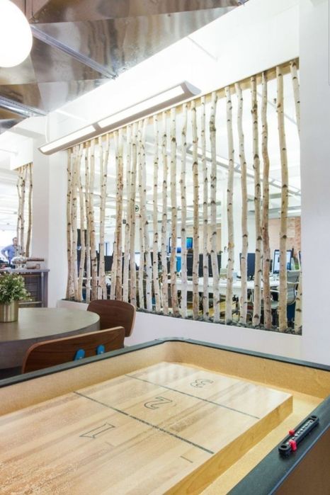 Lemn mesteacan / Paravane mesteacan alb / Tulpini mesteacan