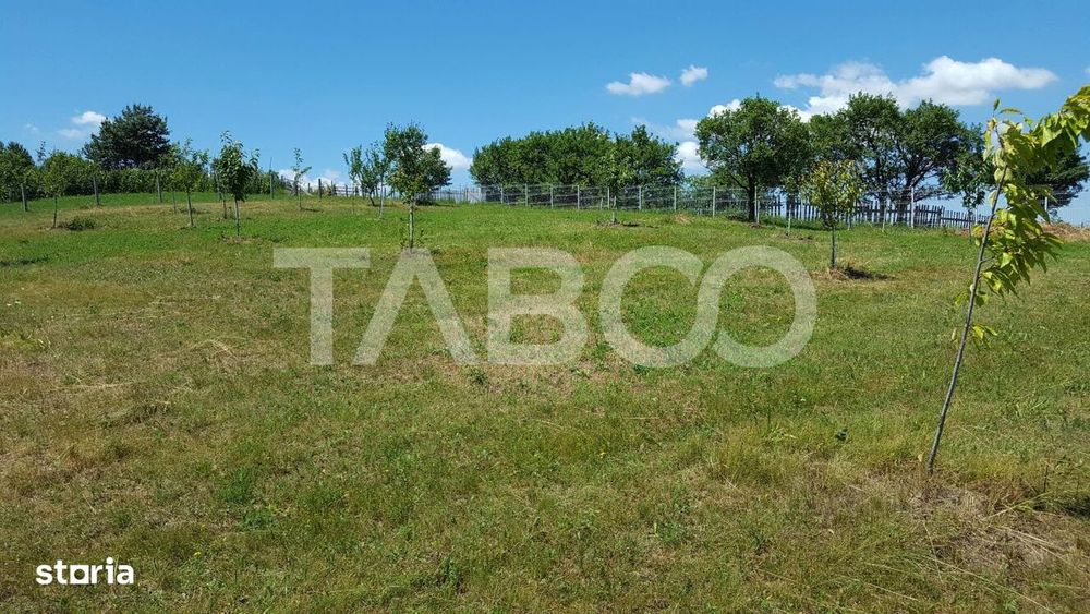 Teren 1974 mp intravilan de vanzare in Loman judetul Alba