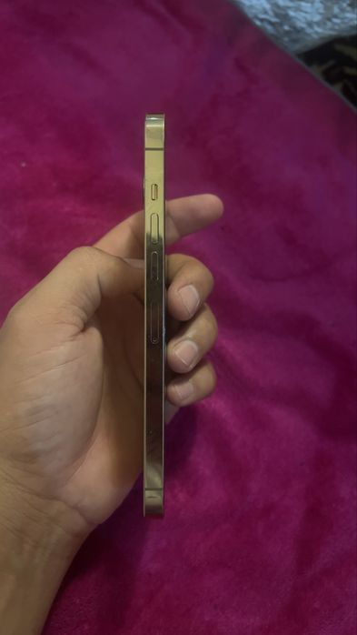 Iphone 13 promax