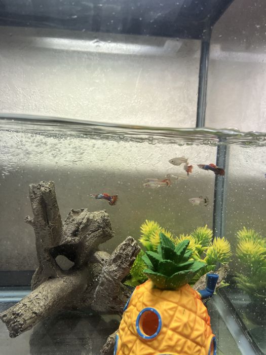 Продам аквариум 40 литров