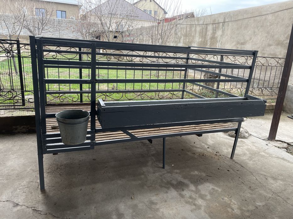 Евро кора кой кошкар