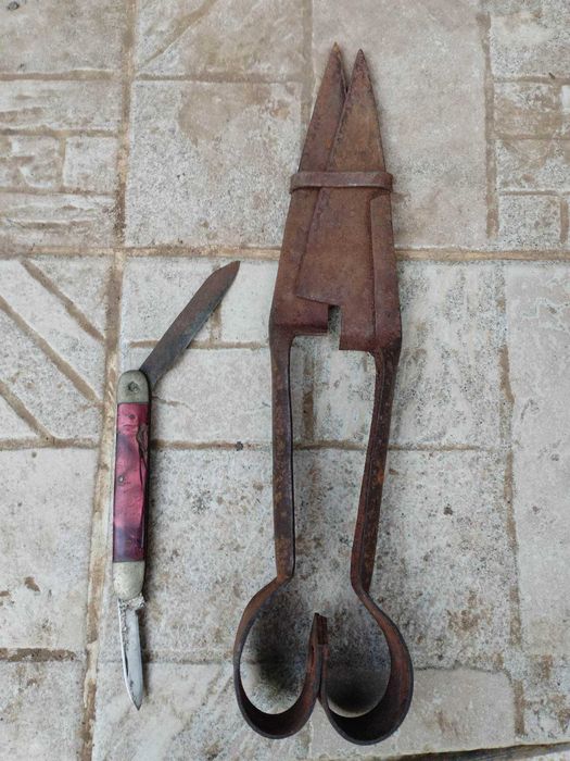 Джобно ножче и ножица