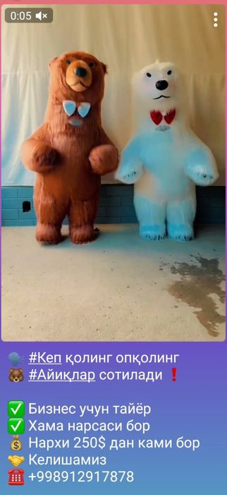 Ayiq sotiladi arzon berib yuboraman