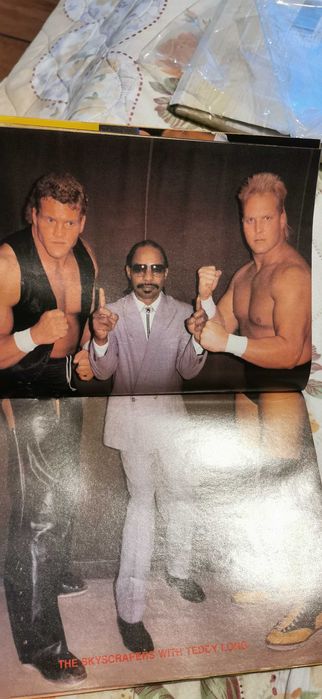 wwe, wwf американски списания лот от 8 броя