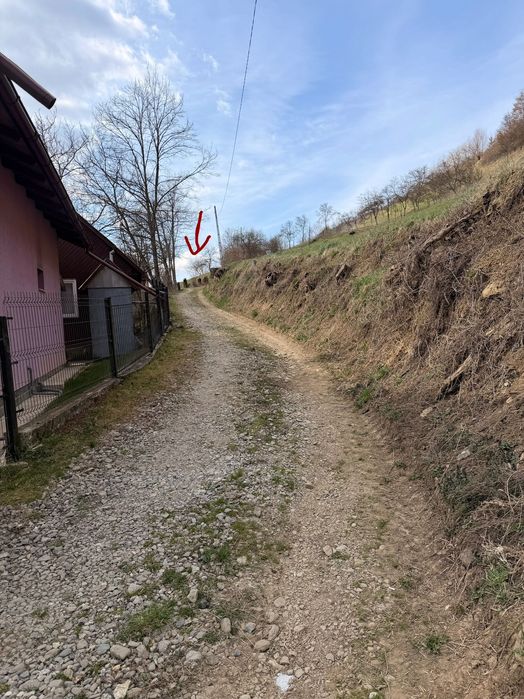 Teren de vânzare intravilan Vișeu de jos