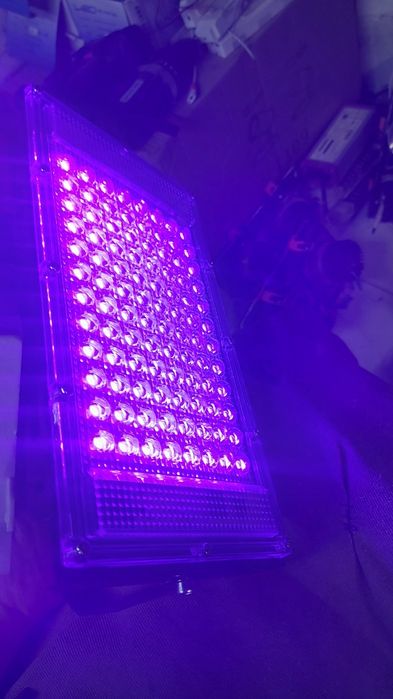 Прожектор ултрафиолетовая