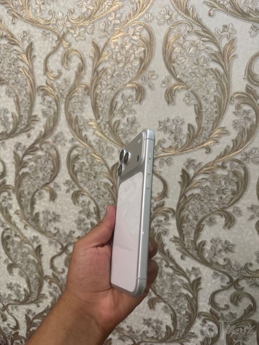 Iphone 17 Pro Max Apple Storedan olingan