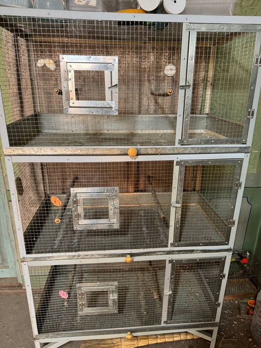 Qafas Valer sotiladi