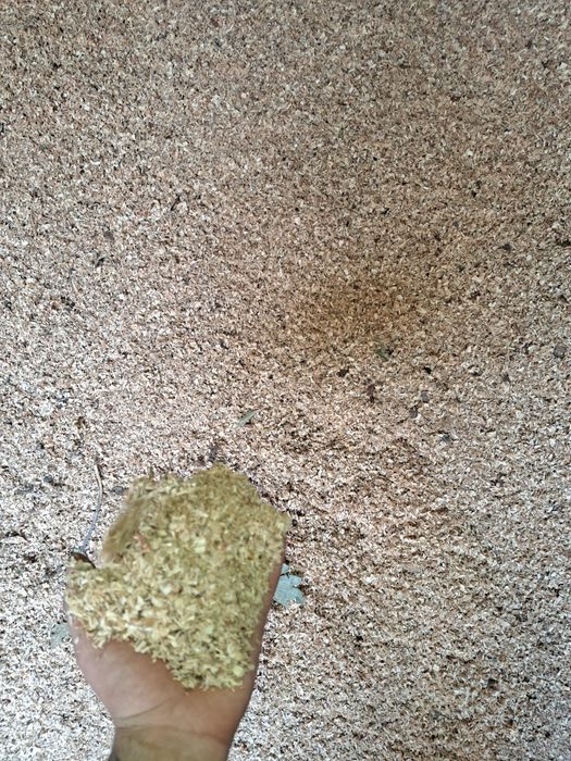 Дървесни стърготини - пилки