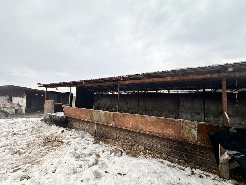 Продается Фазенда