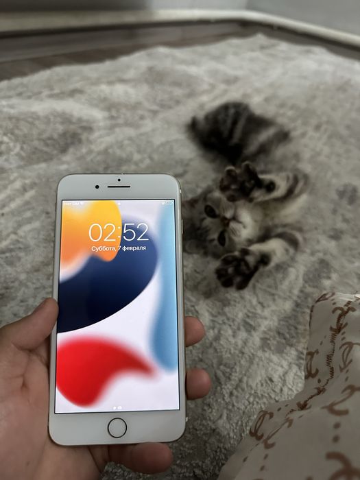 Продам Айфон 7 +
