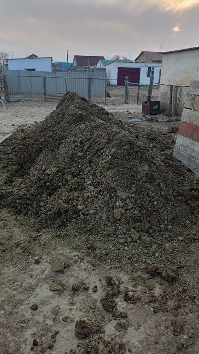 Навоз сиырдыкі..