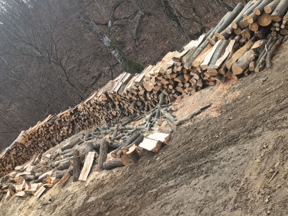 Lemn de foc fag stejar