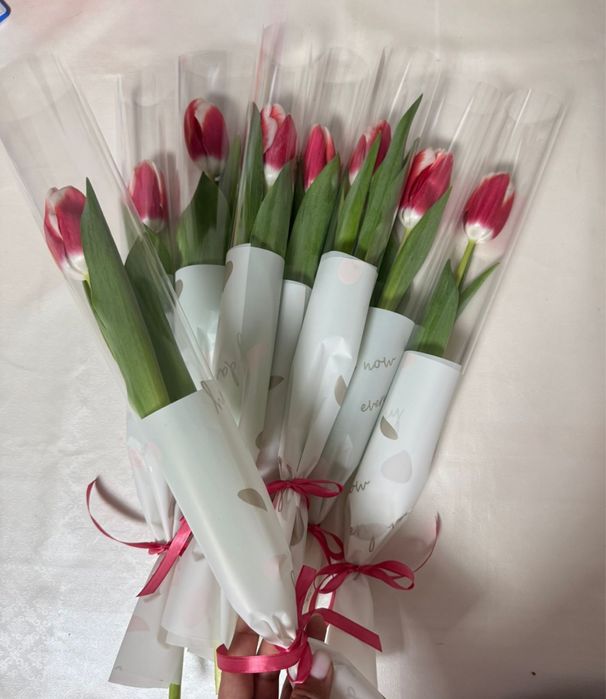 Тюльпаны розница 700