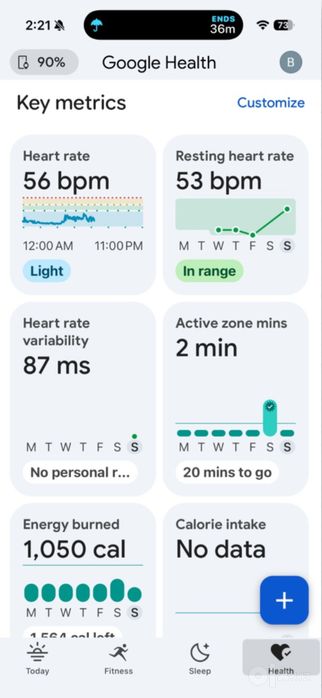 Google fit bit air