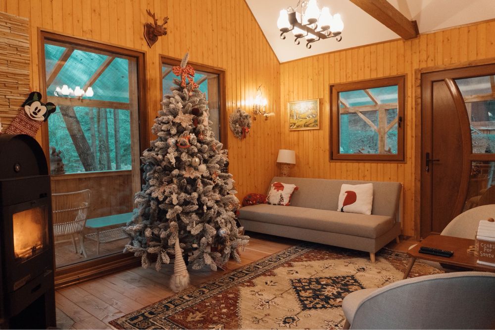 Cabana de inchiriat Colibita