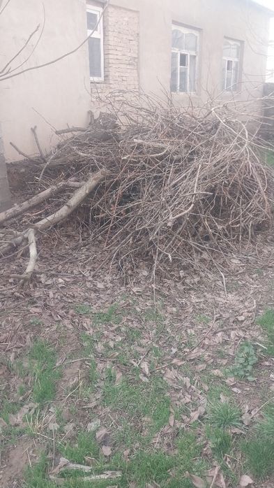 Отын - 1 прицеп Дров