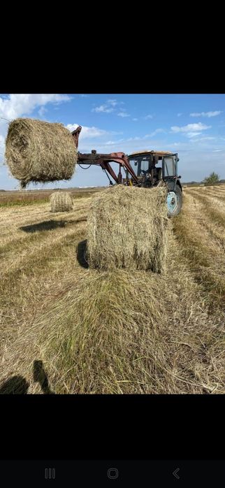 Продам сено в рулонах-300кг,(луговое),цена 6-8тыс с доставкой.Обр.8771