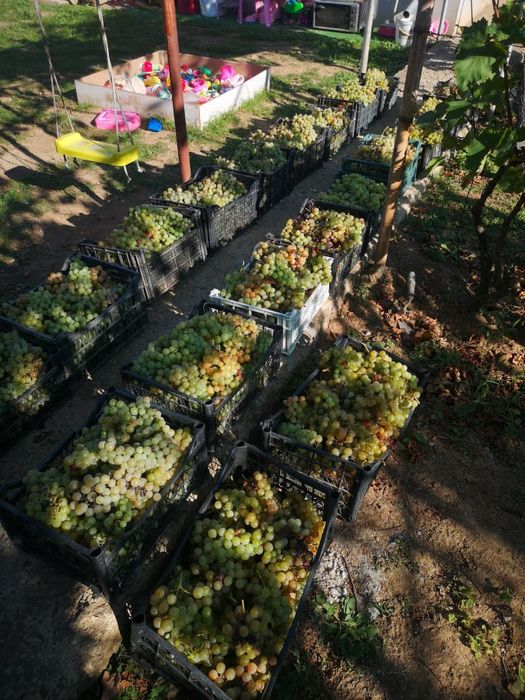 Продава се Къща в Стражица - 84 кв.м за 596 €/кв.м - Снимка #13