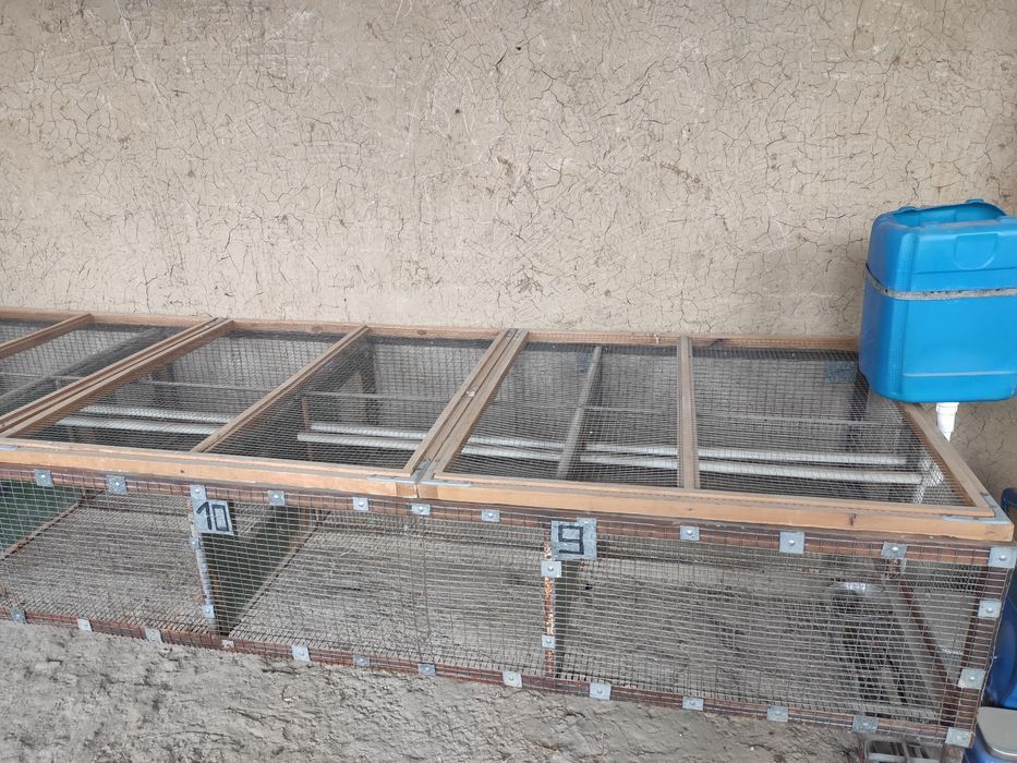 Клетка для Кролика и цыплят.
