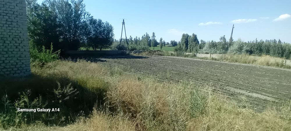 Uy joy sotiladi hovli