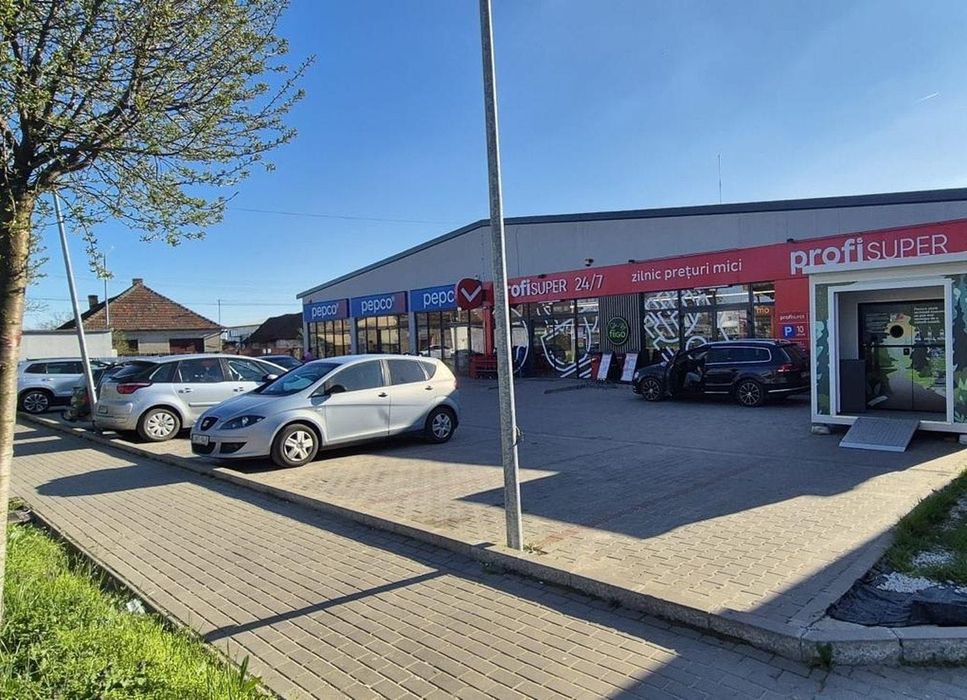 Centru comercial Valea lui Mihai - Profi + Pepco, 100% inchiriat