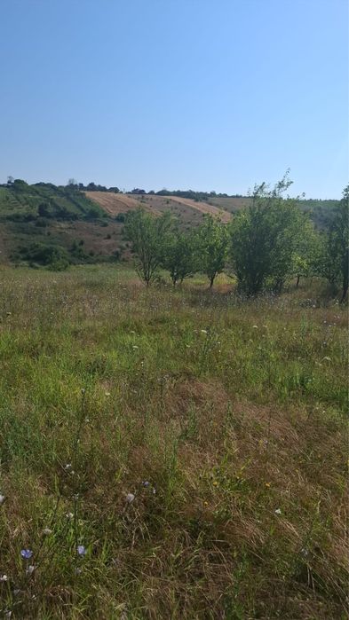 Vand teren comuna Mischii, sat Calinesti