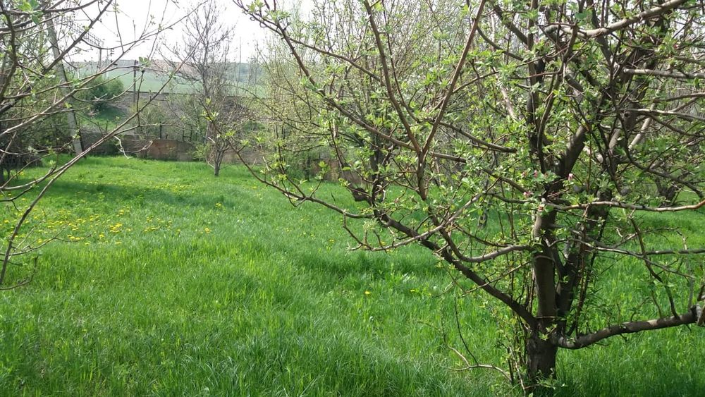 Продается  5 комнатный дом, торг