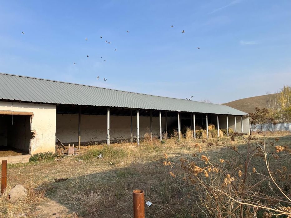 Продам Фазенду(фазенда сатылад)