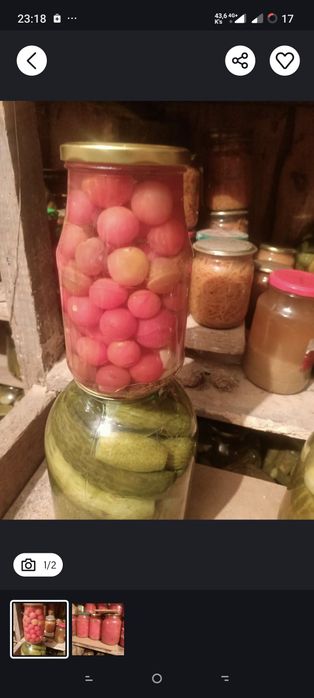 Продам соленье разное