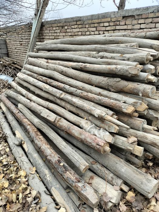 cho'p  bolor qalama o'rtacha 3 m