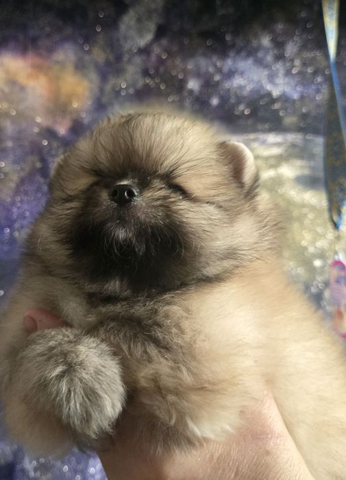 Предлагаю крутого мальчика