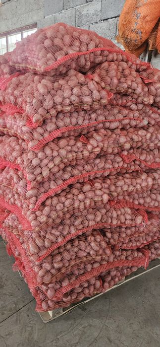 Cartofi pentru animale 2025