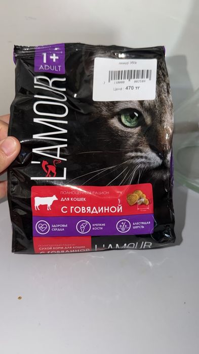 Отдам даром кота