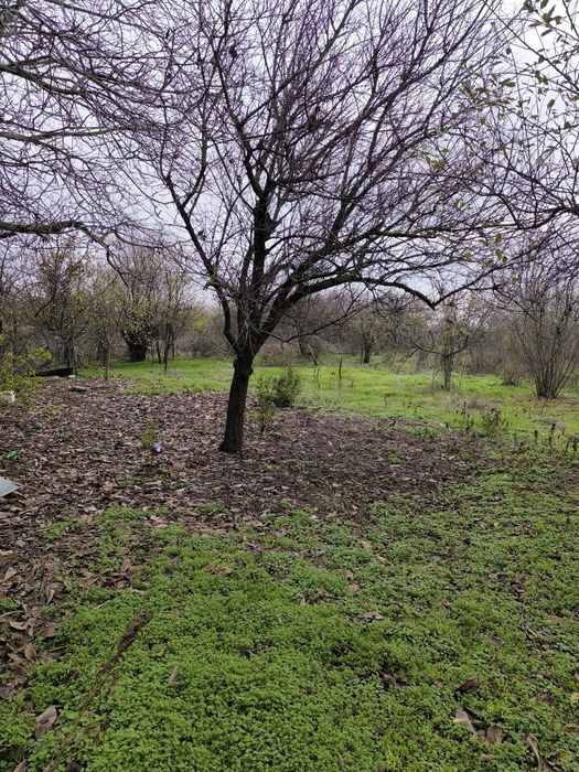 Двуетажна тухлена къща с гараж в село Дянково
