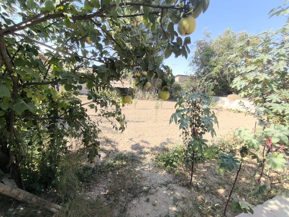 Uy xolati yaxwi yasha boladi