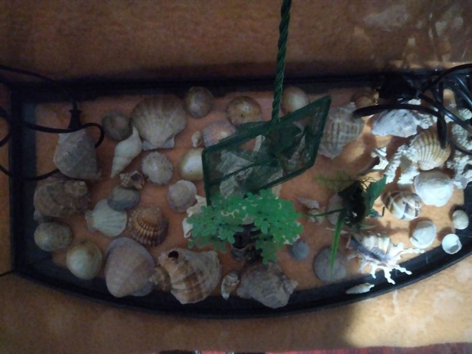 Vand acvariu cu filtru ciorpac incalzitor  cu termostat reglabil