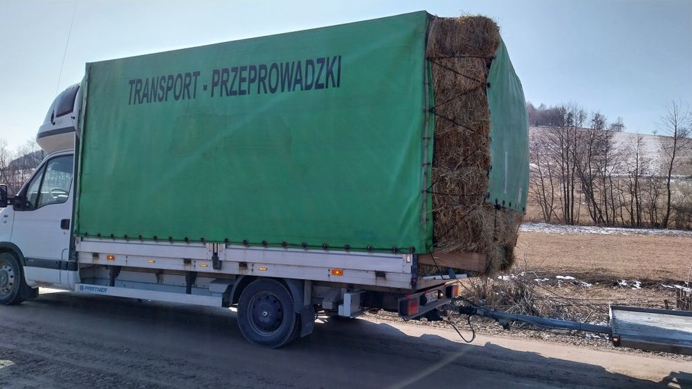 Fan de vânzare transport