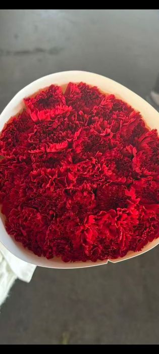 Гвоздика и роза оптом и розницу