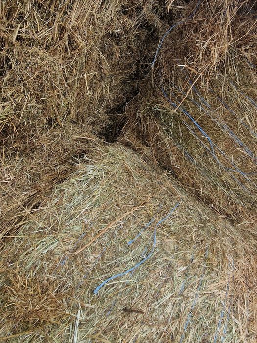 Baloti de fan 120×120