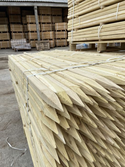 Tarusi prismatici, lemn salcam