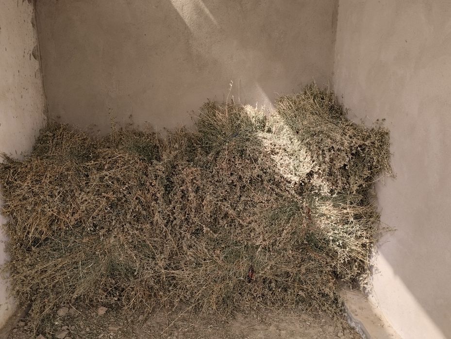 Beda sotiladi,yaxshi holatda