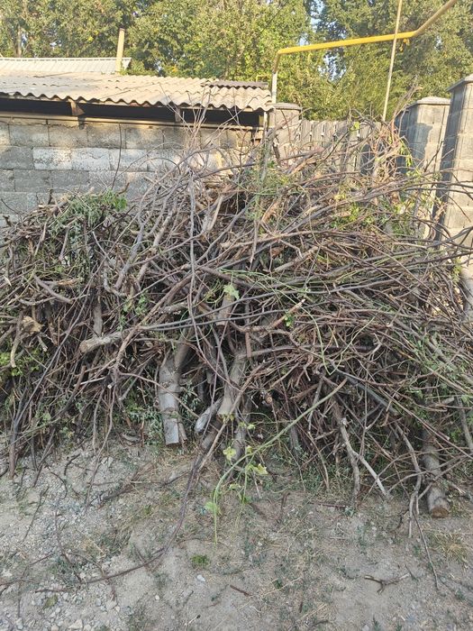 Дрова бесплатно самовывоз Талгар