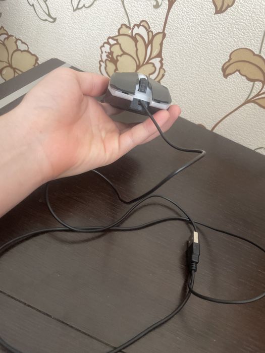 Нурпок на мишка