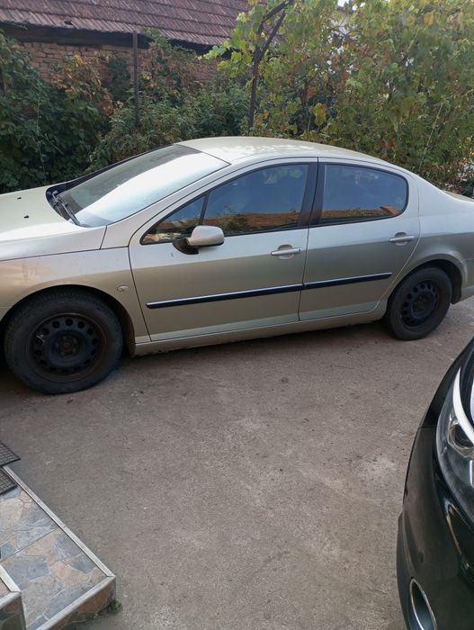 Vind Peugeot 407