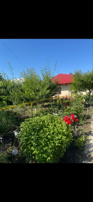 Ofer spre vanzare casa de locuit +spatiu comercial